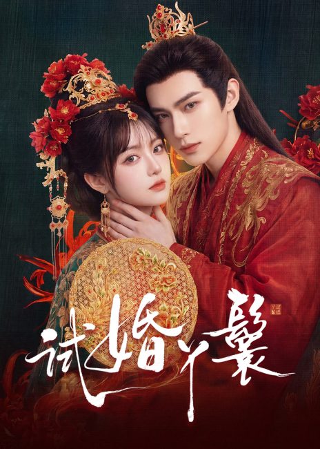 مسلسل خادمة المحاكمة The Trial Handmaiden الحلقة 7 مترجمة