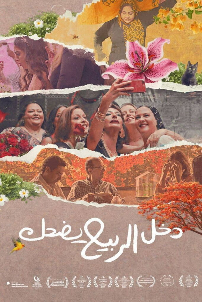 فيلم دخل الربيع يضحك 2024